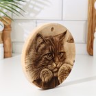 Доска из массива кедра «Кошка», круглая, 18 × 18 см №187 - Фото 2