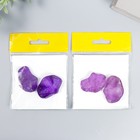 Молд пластик "Лепесток "Анютины глазки" (набор 2 детали) 4х3 см  МИКС - фото 24724213