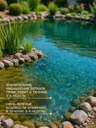 Биологическое средство для чистки декоративных прудов и фонтанов «Прудочист», 30 г - Фото 3