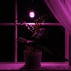 Светильник для растений 15 Вт, 12 мкмоль/с, провод 1,7 метра с выключателем, липучка на окно - Фото 2