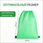 Мешок для обуви на шнурке, однотонный, размер 35×0.5×43 см, зелёный - Фото 2