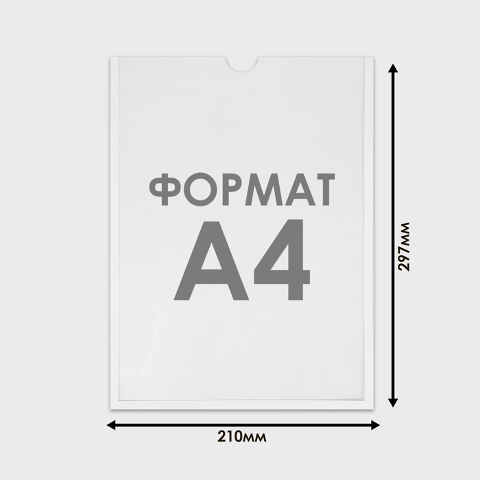 Карман для информации плоский А4, вертикальный, оргстекло 1 мм, без скотча, цвет белый - фото 1908537119