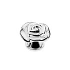 Ручка кнопка CAPPIO Rose 01, белая с серебряным - фото 318293375
