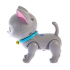 УЦЕНКА Интерактивная игрушка «Мой питомец: Кошечка», со световыми и звуковыми эффектами - Фото 4