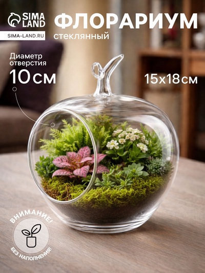 Флорариум «Яблоко», 15×18 см, стекло