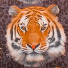 Постельное бельё "Этель престиж" 2.0 сп Затаившийся тигр 180*210 см, 220*240 см, 50*70 + 5 см - Фото 2