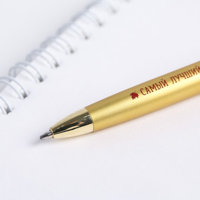 Ручка подарочная «С Днём Учителя!», металл, синяя паста, 1.0 мм - фото 1908538139