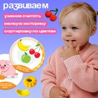 Набор для сортировки «Вкусная тарелка», по методике Монтессори, 20 заданий, 3+ - Фото 5