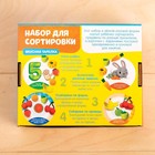 Набор для сортировки «Вкусная тарелка», по методике Монтессори, 20 заданий, 3+ - Фото 7