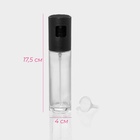 Распылитель для масла и уксуса Доляна, 17.5×4 см, 100 мл, стекло, прозрачный - Фото 2