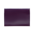 Обложка для паспорта, цвет фиолетовый - фото 8952518
