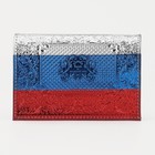 Обложка для паспорта, цвет триколор - Фото 2