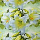 Постельное бельё "Этель престиж" евро Лилии на зеленом 200*220 см, 220*240 см, 50*70 + 5 см - 2 шт. - Фото 2