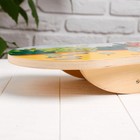 Разивающая игра «Балансирующая доска» 7,5×43×22,5 см - фото 25505829