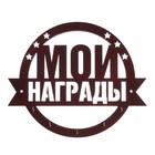 Медальница «Мои награды» с крючками, 25 х 20,8 см - Фото 1