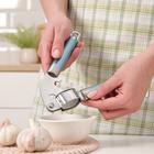 Пресс для чеснока Доляна Lagoona, 19 см, нержавеющая сталь, цвет голубой металлик - фото 24577647