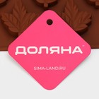 Форма для конфет и шоколада Доляна «Кленовый сироп», силикон, 19.5×17.7×1 см, 18 ячеек, коричневая - Фото 7