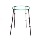 Кустодержатель, d = 50 см, h = 80 см, ножка d = 2 см, пластик, МИКС - Фото 5