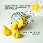 Фруктовница Доляна «Эстетика», 18×18×23 см, чёрная - Фото 5