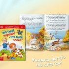Детские книги «Читаем по слогам», набор 6 шт. по 12 стр. - Фото 7