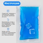 Аккумулятор холода - гелевый хладоэлемент для термосумки «Мастер К.», до 20 ч, 150 мл - Фото 4