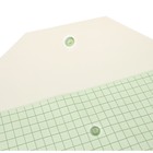 Набор папок-конвертов на кнопке А4, 180 мкр, 12 штук, клетка тонированная зелёная - фото 8642261