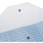 Набор папок-конвертов на кнопке А4, 180 мкр, 12 штук, клетка тонированная синяя - фото 8642267