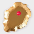 Блюдо для фруктов Доляна «Золотой лист», 25×18×2 см, цвет золотой - Фото 5