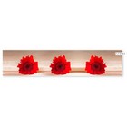 Фартук кухонный МДФ PANDA Красные хризантемы, 0164 - фото 298308165