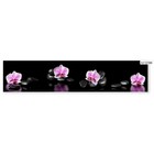 Фартук кухонный МДФ PANDA Розовая орхидея, 0184 - фото 298308185