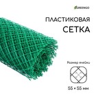 Сетка садовая, 1,5 × 25 м, ячейка 55 × 55 мм, пластиковая, зелёная, Greengo - фото 305595563