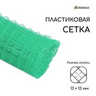 Сетка садовая, 1 × 5 м, ячейка ромб 13 × 13 мм, для птичников, пластиковая, зелёная, Greengo - фото 8954998