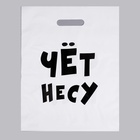 Пакет полиэтиленовый с вырубной ручкой, «Чёт несу», 60 мкм 31?40 см (комплект 20 шт) - фото 67924271