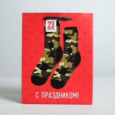 Пакет подарочный ламинированный, упаковка, «С 23 февраля», MS 18×23×10 см