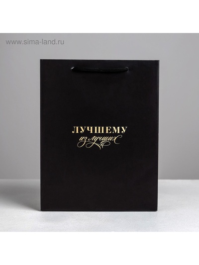 Пакет подарочный ламинированный, упаковка, «Лучшему из лучших», MS 18×23×10 см