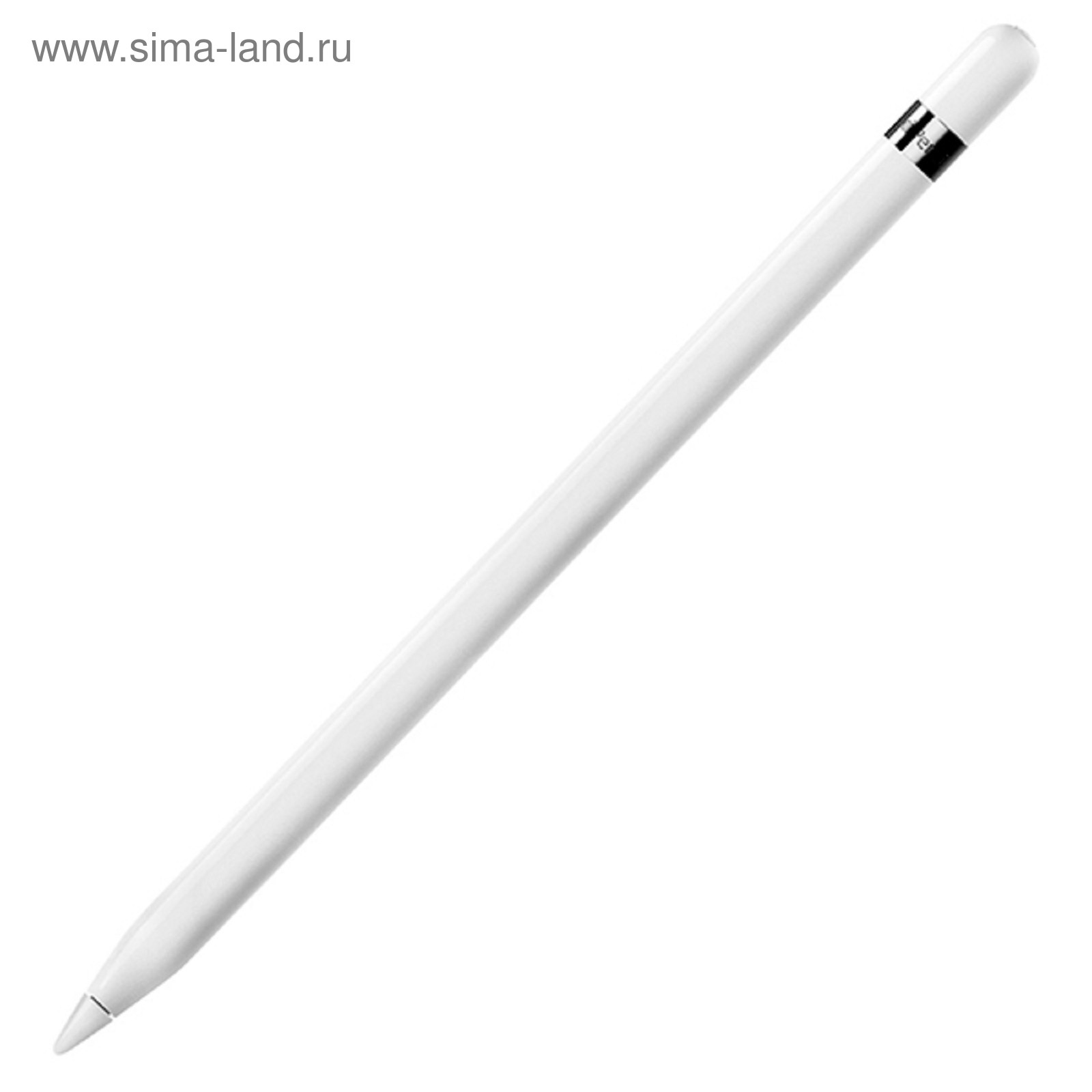 Цифровая ручка Apple Pencil, белая (4868145) - Купить по цене от 9 710.00  руб. | Интернет магазин SIMA-LAND.RU