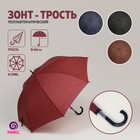 Зонт - трость полуавтоматический «Полоски», 8 спиц, R = 60 см, цвет МИКС - фото 8955430