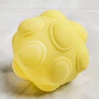 Развивающие тактильные мячики Крошка Я «Цыпленок тазик», в наборе 6 шт., с пищалкой, МИКС - Фото 10