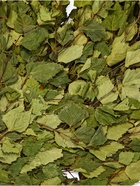 Веник для бани «Богатырский», берёзовый, «Добропаровъ» (комплект 20 шт) - фото 62081273