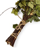 Веник для бани «Богатырский», берёзовый, «Добропаровъ» (комплект 20 шт) - фото 62081274