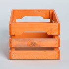 Ящик для хранения "Лиса" 30х15х20 см - Фото 6