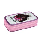 Пенал 3 секции, 105 х 190 мм, ламинированный картон, ПО-110, «Модные принцессы» - Фото 2