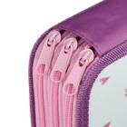 Пенал 3 секции, 105 х 190 мм, ламинированный картон, ПО-110, «Модные принцессы» - Фото 9