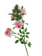 Цветы искусственные «Роза Септима», 5×65 см, розовые  (артикул 4738198)  большой выбор товаров оптом и в розницу по низким ценам с доставкой
