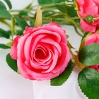 Цветы искусственные "Роза Септима" 5х65 см, яркий розовый - Фото 2
