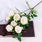 Цветы искусственные "Роза Септима" 5х65 см белый - Фото 1