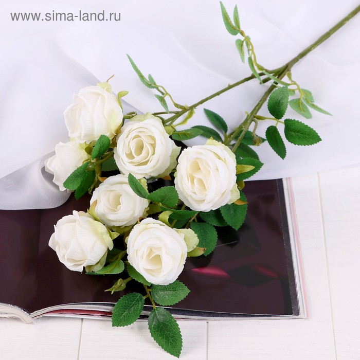 Цветы искусственные "Роза Септима" 5х65 см белый - Фото 1