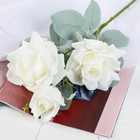 Цветы искусственные "Роза Терция" 12х60 см, белый - фото 319791640