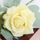 Цветы искусственные "Роза Терция" 12х60 см, жёлтый 4738208 - фото 16479260