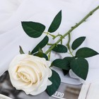 Цветок искусственный "Роза Летисия" 7х64 см, белый - фото 320093035